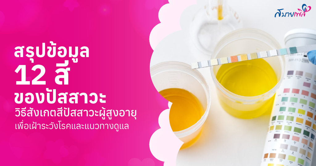 13 สีปัสสาวะ